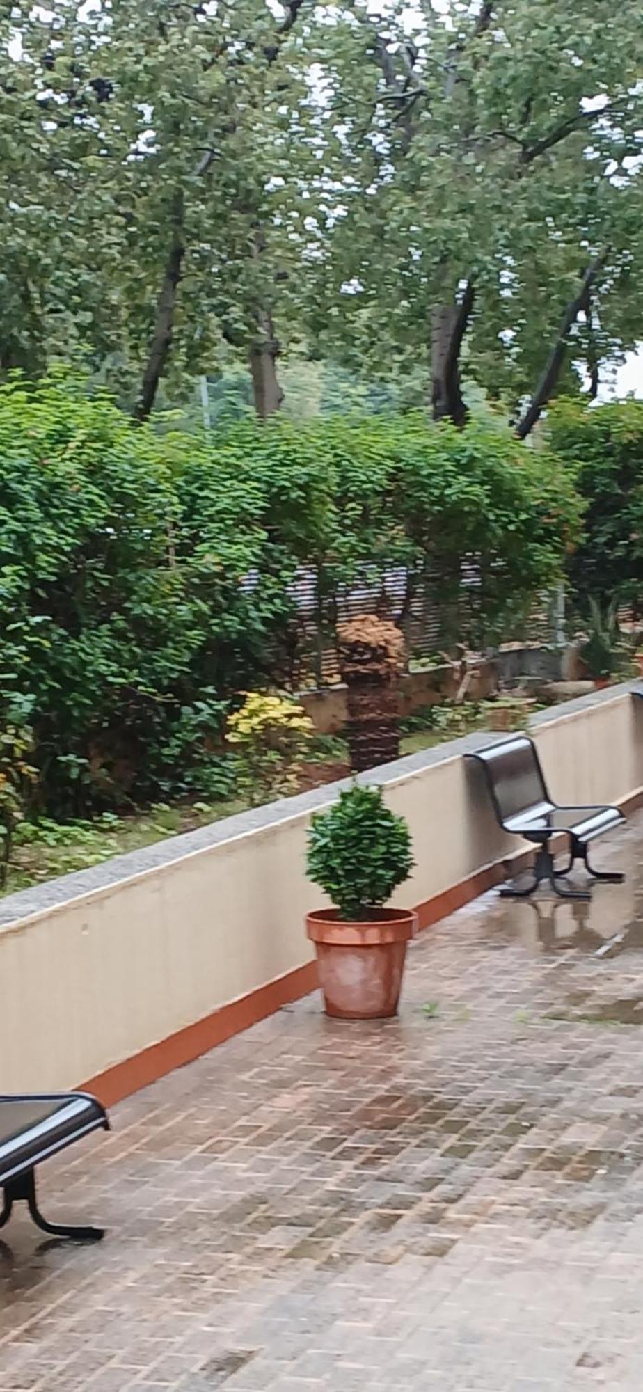 Larru Los Bermejales Residencia Universitaria Sevilla Dış mekan fotoğraf