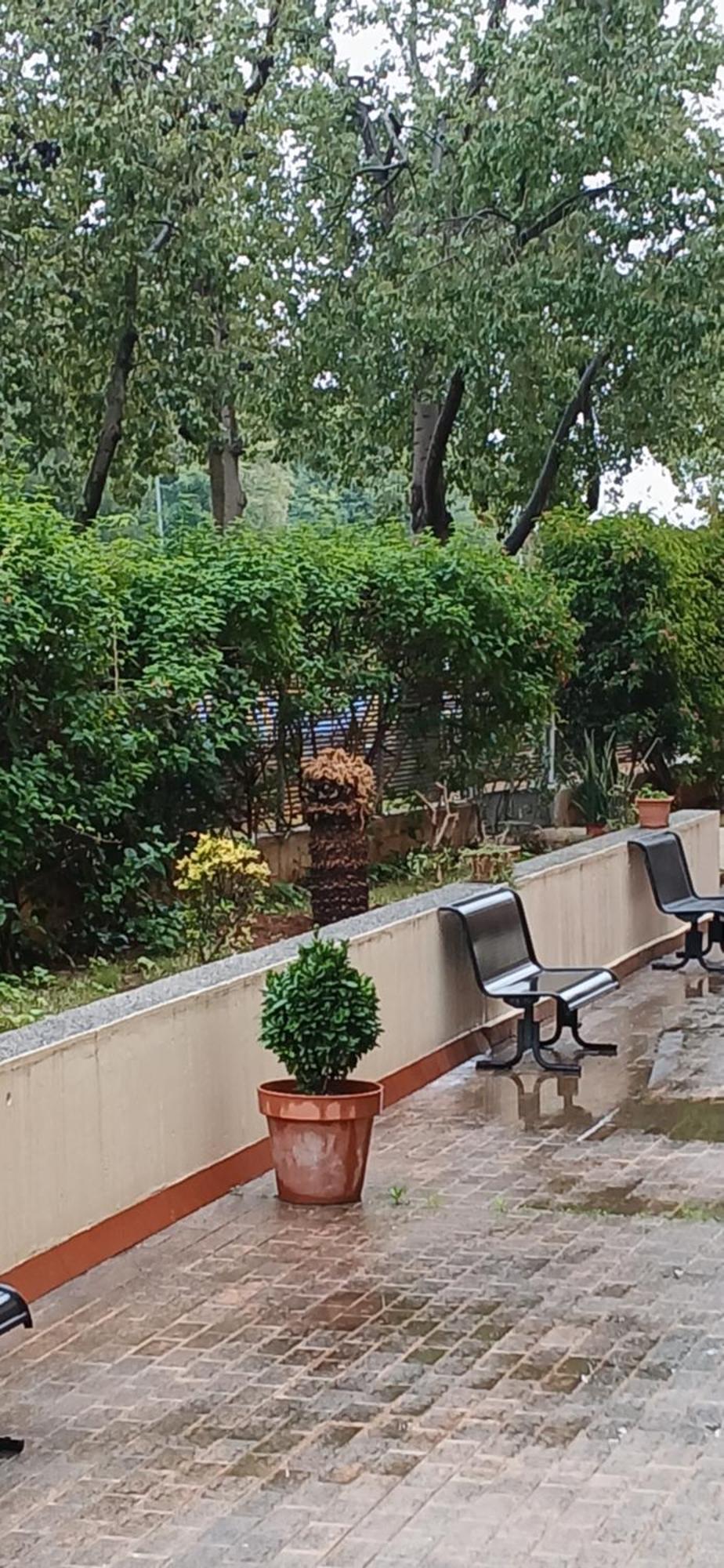 Larru Los Bermejales Residencia Universitaria Sevilla Dış mekan fotoğraf